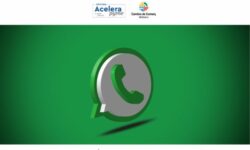 WhatsApp Business para la temporada de verano